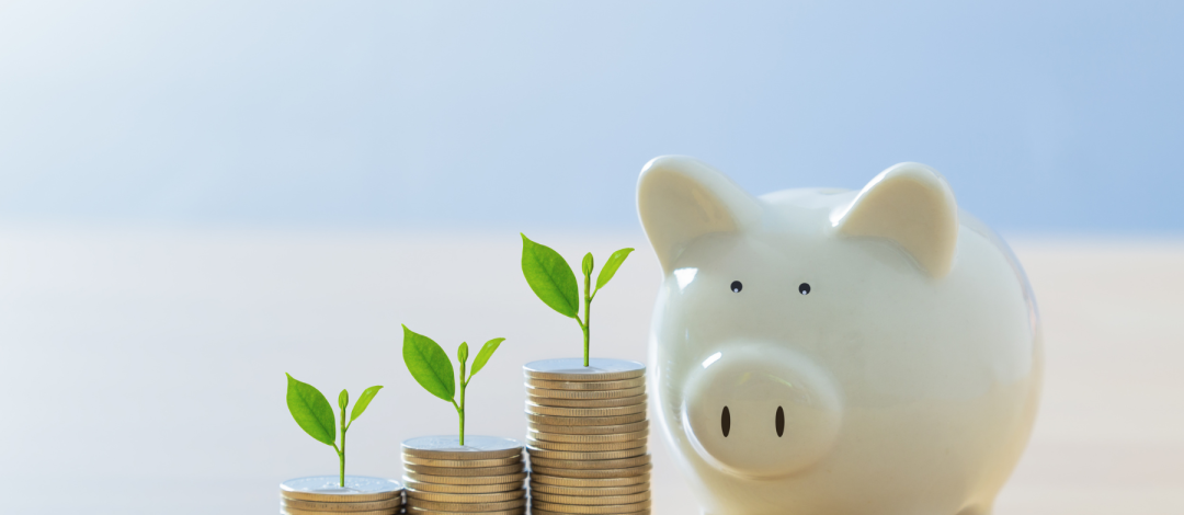 Piggy bank and growing coin stacks representing the investment in life coach training in the UK